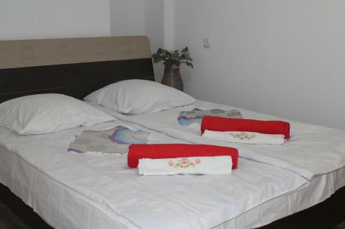 Sesili's Apartment