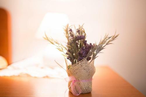 Apartmani Katija
