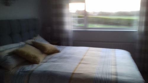 Bridgeview B&B