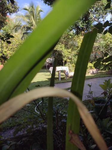 Casa De Praia Em Jacon� - Centro De Jacone - Com�rcios E Mercado!
