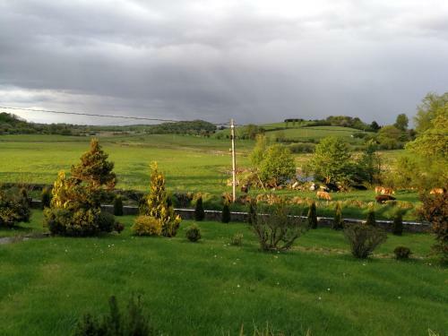 Tower View Lodge