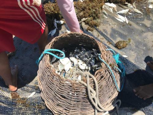 Japara�so II Pr�ximo Ao Mar
