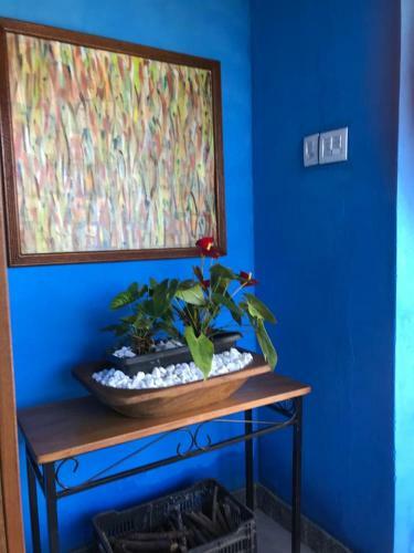 Lodge Macondo Chal�s