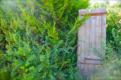 C�t� Luberon