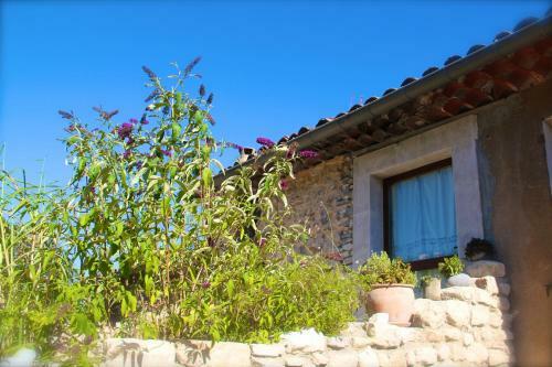 C�t� Luberon