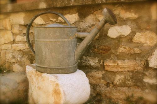 C�t� Luberon