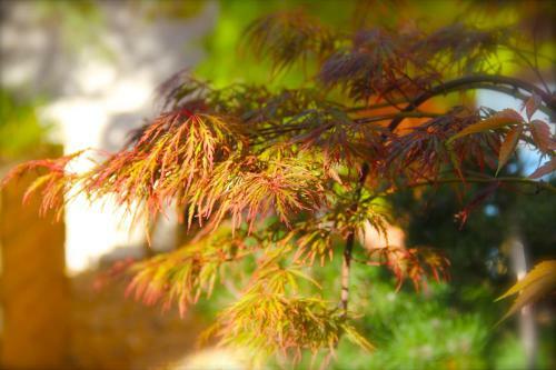 C�t� Luberon