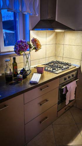 Hostal Dubrovnik Icy Guest House