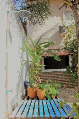 Casa Inteira, Jeri