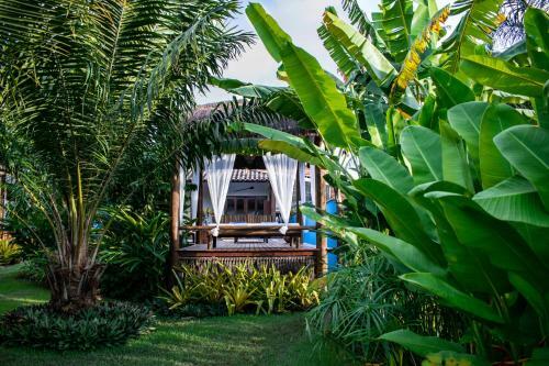 Bed & Breakfast Barra Su�tes