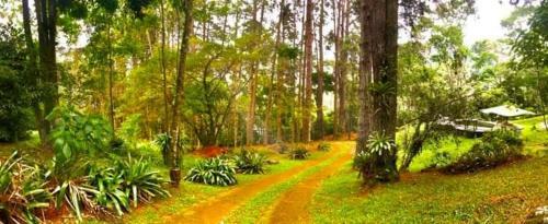 Est�ncia Das Nascentes - S�tio S�o Francisco