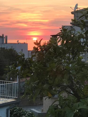 Apartamento Appartement Mila