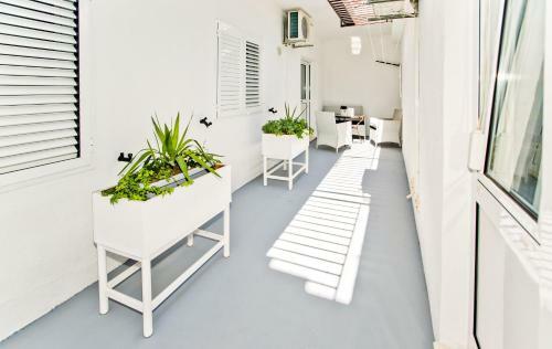 Apartments Ana II
