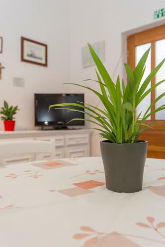 Apartamento Historic Center Hvar Town- A Few Steps From The Main Square