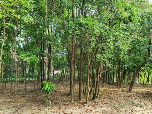 Apartamento Bangal� Villas Do Pratagy