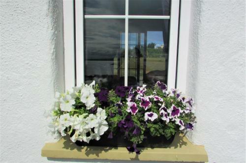 Breacan Cottage B&B