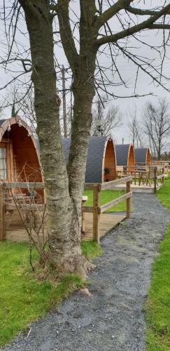 Glamping At Treegrove