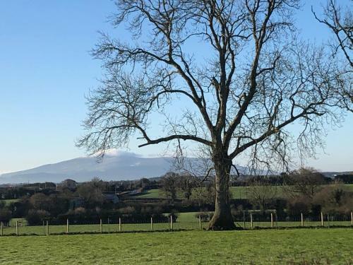 Knockreagh Farm Cottages, Callan, Kilkenny