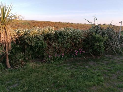 Atlantic Way Farmhouse