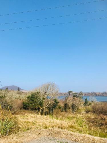 Red Deer Cosy Apartment In Letterfrack Connemara
