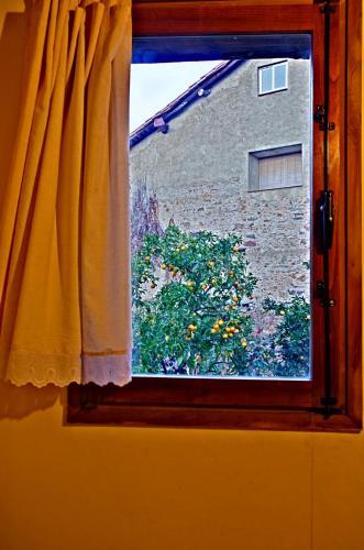 Apartamento Los Balcones Del R�o