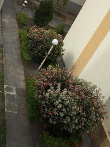 Apartamento Na Ponta Verde - Macei�