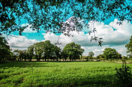 Apartamento Corrib View Farmhouse