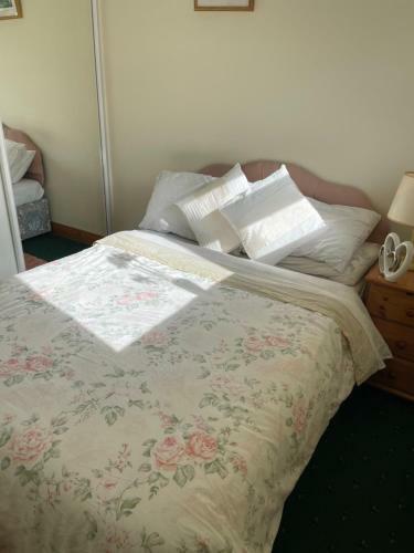 Bed & Breakfast Athenry Lodge