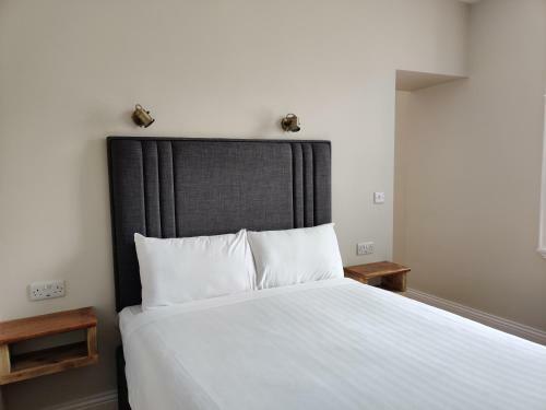 Hostal Number 53