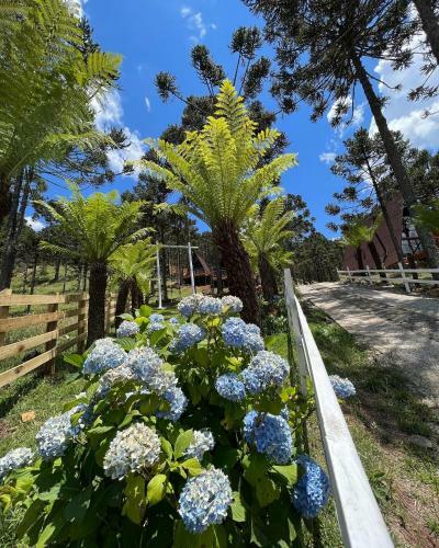 Apartamento Cabana Da Montanha - Urubici