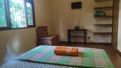 Hostal Terrazzo Italia
