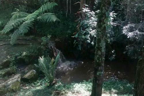 Chal� No Bosque E Cachoeirinha, Centro De Passa Quatro