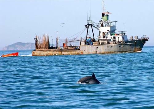 Hostal Ilha Do Papagaio Adventures