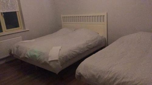 Hostal The Foxes Covert