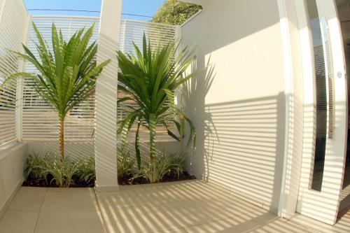 Zafra?s - Fa�a Tudo A P�.