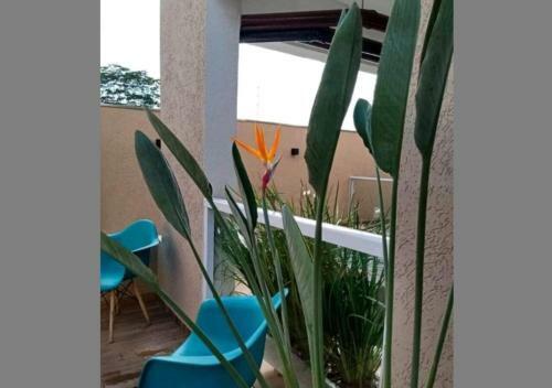 Apartamento Flat 19 Olimpia Pr�x Ao Thermas Dos Laranjais