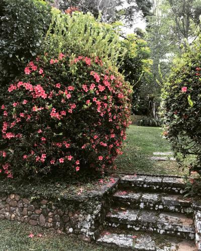 Hostal Pinheiros Do Rocio
