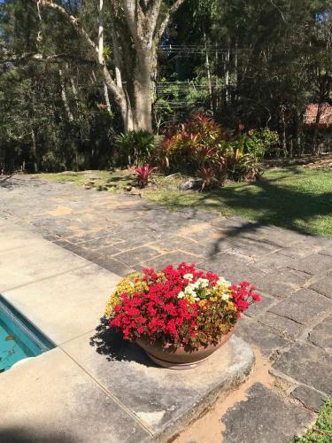 Hostal Pinheiros Do Rocio