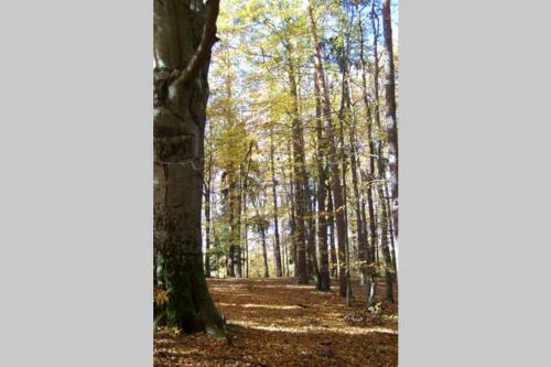 Stilvolles Landhaus Im Dreil�ndereck