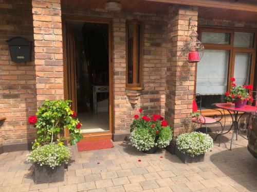 Bed & Breakfast Beechtree House