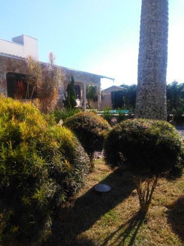 Casa V� Minga