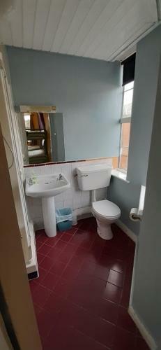 Paddy's Palace Kilarney