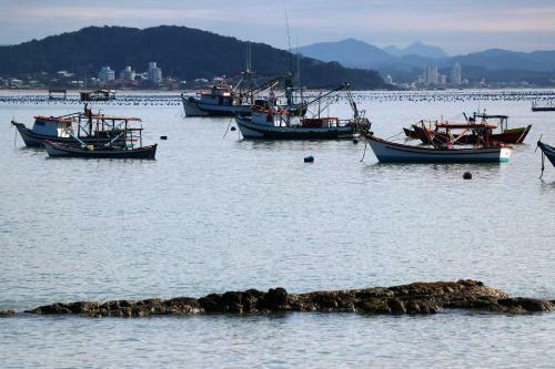 Curta Praia de Arma��o - Casa Girassol