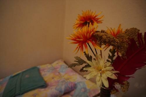 Hostal Piri Vend�gh�z