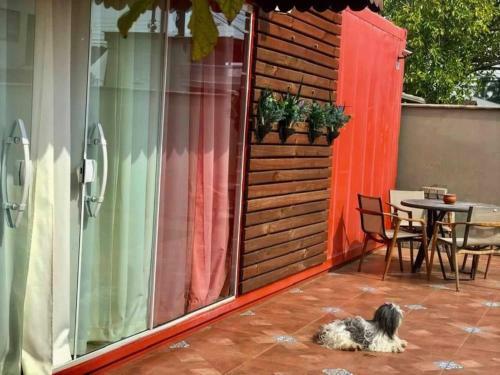 Apartamento Pousada Flatainer/tiny House/350m Do Beto Carrero