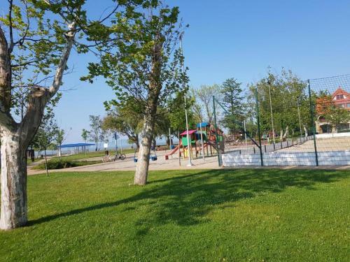 Zs�fi Apartman