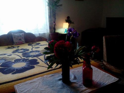 Kamilla Vend�gh�z