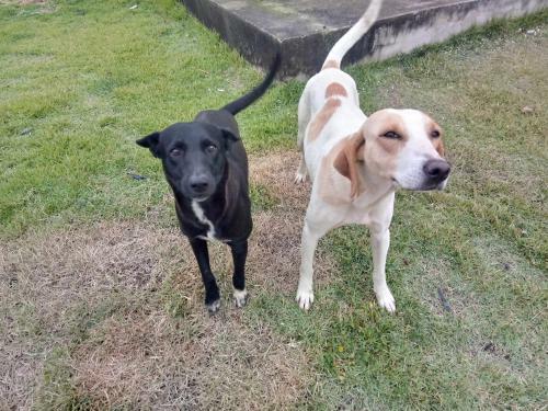 Hotel Pousada Santo Ant�nio