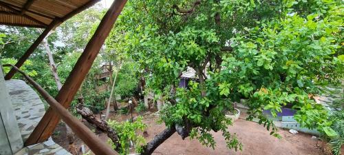 Bed & Breakfast Pousada Bodega Da Terra