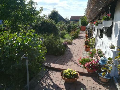 Apartamento N�dash�z